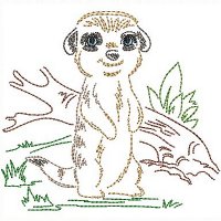Image of petcutebabyanimals0204200.jpg