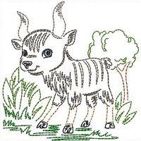 Image of petcutebabyanimals0205200.jpg