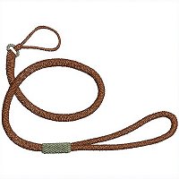 Image of petdoggieleash200.jpg