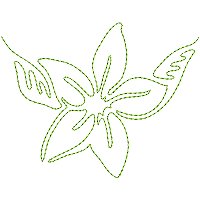 Image of petflowerborder01200.jpg