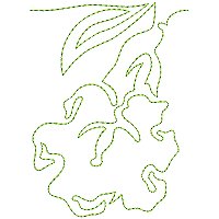 Image of petflowerborder04200.jpg