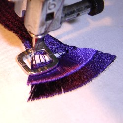 Image of petfrillyinstr01200.jpg