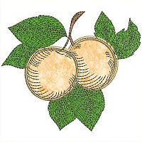 Image of petfruitbasketapricots200.jpg