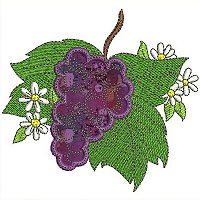 Image of petfruitbasketgrapes1200.jpg