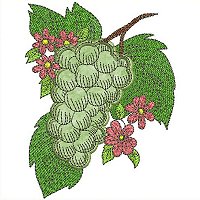 Image of petfruitbasketgrapes2200.jpg