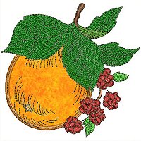 Image of petfruitbasketorange200.jpg