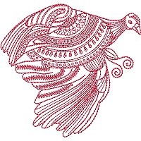Image of petgracguinea02200.jpg