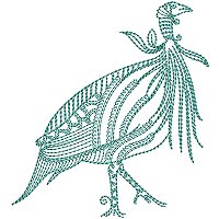 Image of petgracguinea07200.jpg