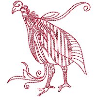 Image of petgracguinea08200.jpg