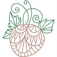 Image of petlfapricot02200.jpg