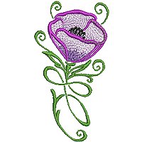 Image of petprettypoppy03200.jpg