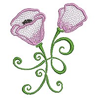 Image of petprettypoppy07200.jpg