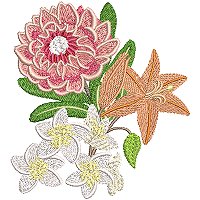 Image of petprotea01200.jpg