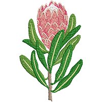 Image of petprotea08200.jpg