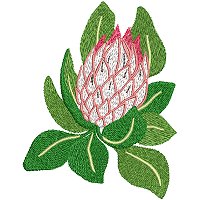 Image of petprotea10200.jpg