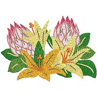 Image of petprotea13200.jpg