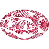 Image of petrwfishing01200.jpg