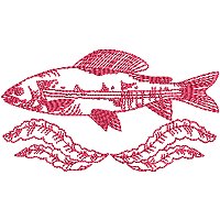 Image of petrwfishing06200.jpg