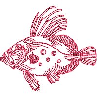 Image of petrwfishing08200.jpg