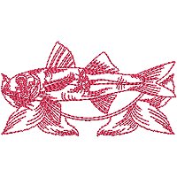 Image of petrwfishing09200.jpg