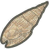 Image of petseashell01appl200.jpg