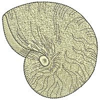 Image of petseashell02200.jpg