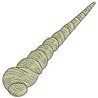 Image of petseashell03200.jpg