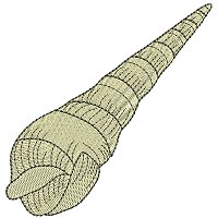 Image of petseashell04200.jpg