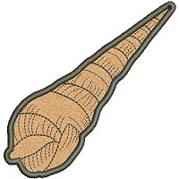 Image of petseashell04appl200.jpg