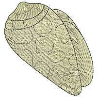 Image of petseashell06200.jpg