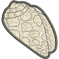 Image of petseashell06appl200.jpg