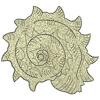 Image of petseashell10200.jpg