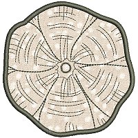Image of petseashell12appl200.jpg