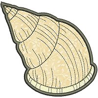 Image of petseashell13appl200.jpg