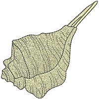 Image of petseashell16200.jpg