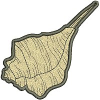 Image of petseashell16appl200.jpg