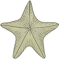 Image of petseashell17200.jpg