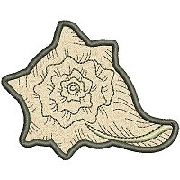 Image of petseashell21appl200.jpg