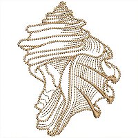 Image of petseashells202200.jpg