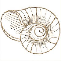 Image of petseashells204200.jpg