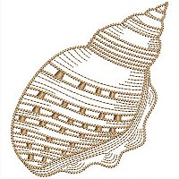 Image of petseashells207200.jpg