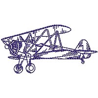 Image of petvintageaeroplane03200.jpg