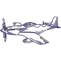 Image of petvintageaeroplane07200.jpg
