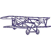 Image of petvintageaeroplane09200.jpg