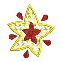 Star embroidery design.