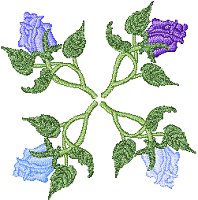 Image of rose02b.jpg