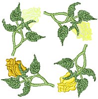 Image of rose03b.jpg