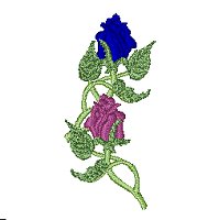 Image of rose06b.jpg