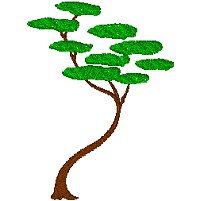 Image of tree.jpg